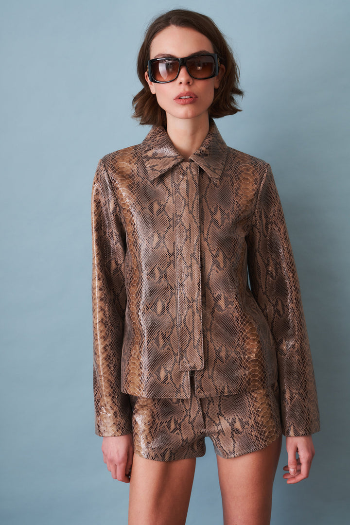 Women's brown snake print blouson jacket with pointed collar and front zip