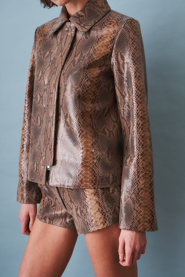 Women's brown snake print blouson jacket with pointed collar and front zip
