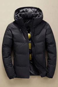 Amato Black